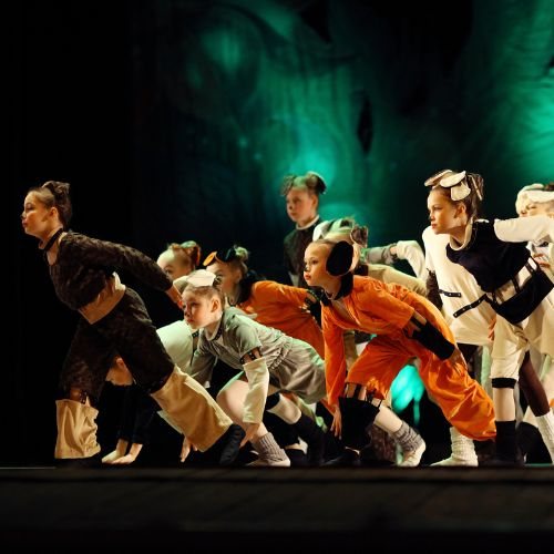 Intro to Musical Theatre at Donna's Studio of Dance